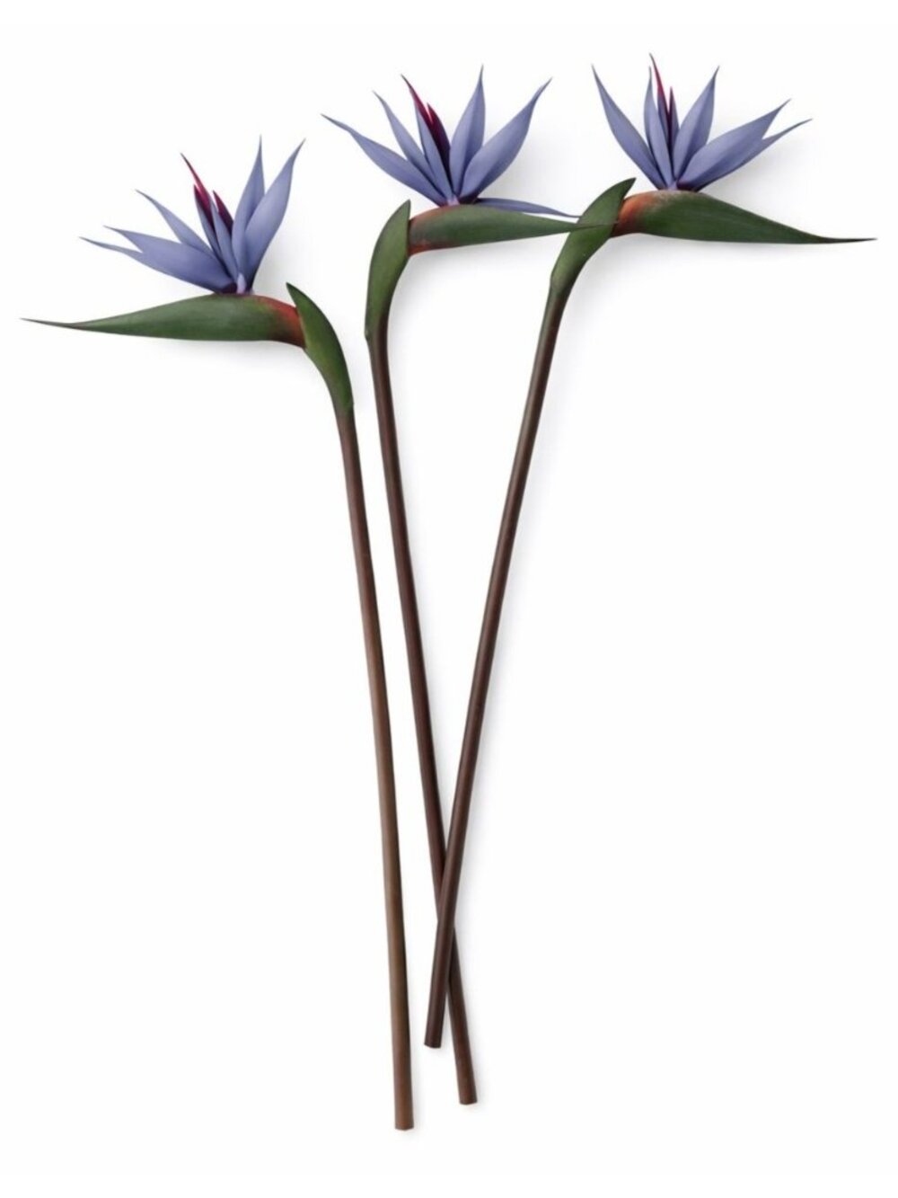 Bird of Paradise Stems Set of 3 Faux Tropical Flowers 30 Inch Tall Moody Blue Pu